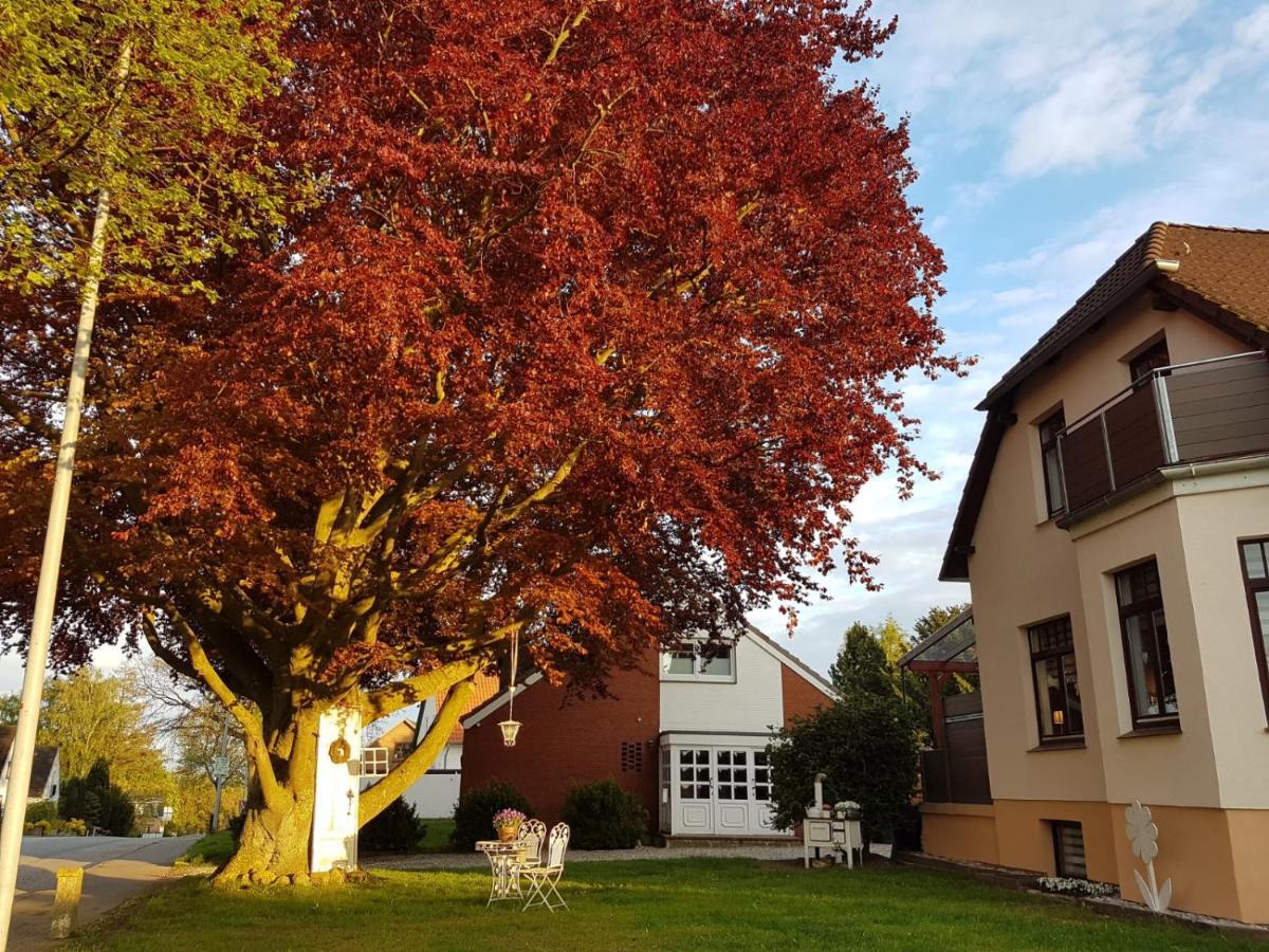 Ostsee Ferienwohnung Pelzerhaken Neustadt in Holstein Exteriér fotografie
